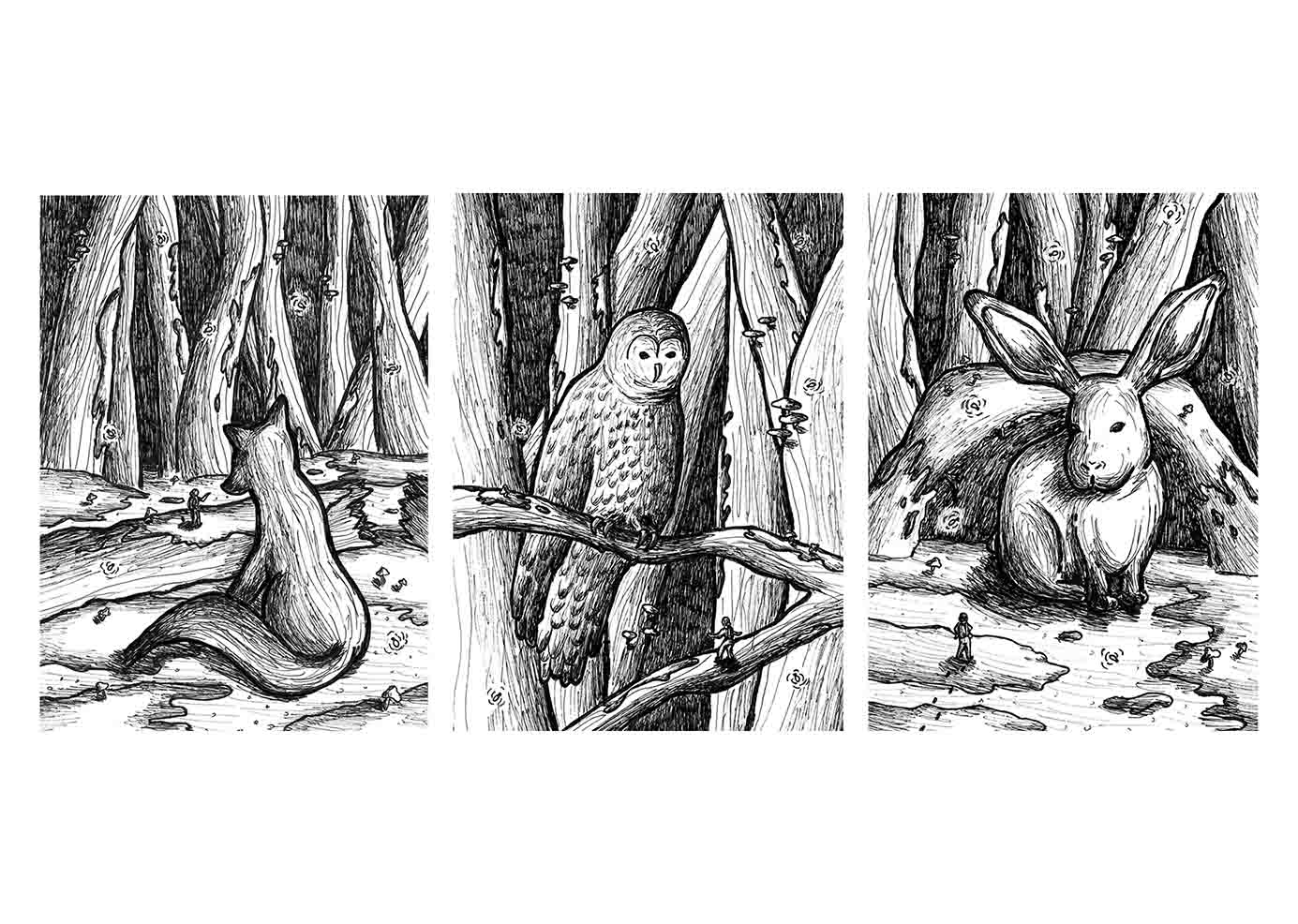 Three hand illustrated print pieces of woodland animals