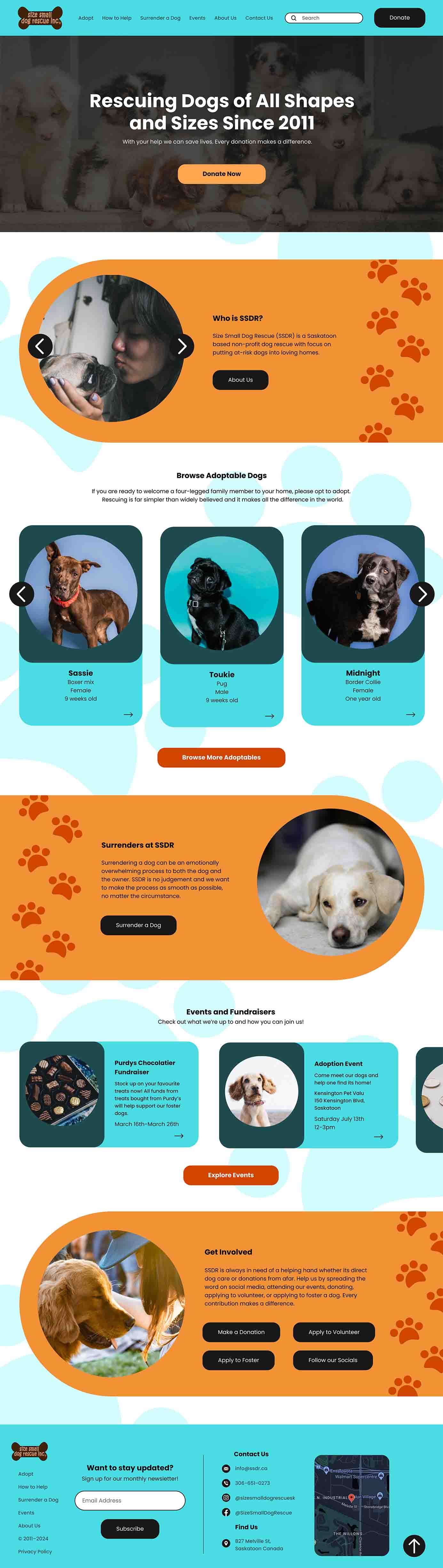 Full page homepage mockup