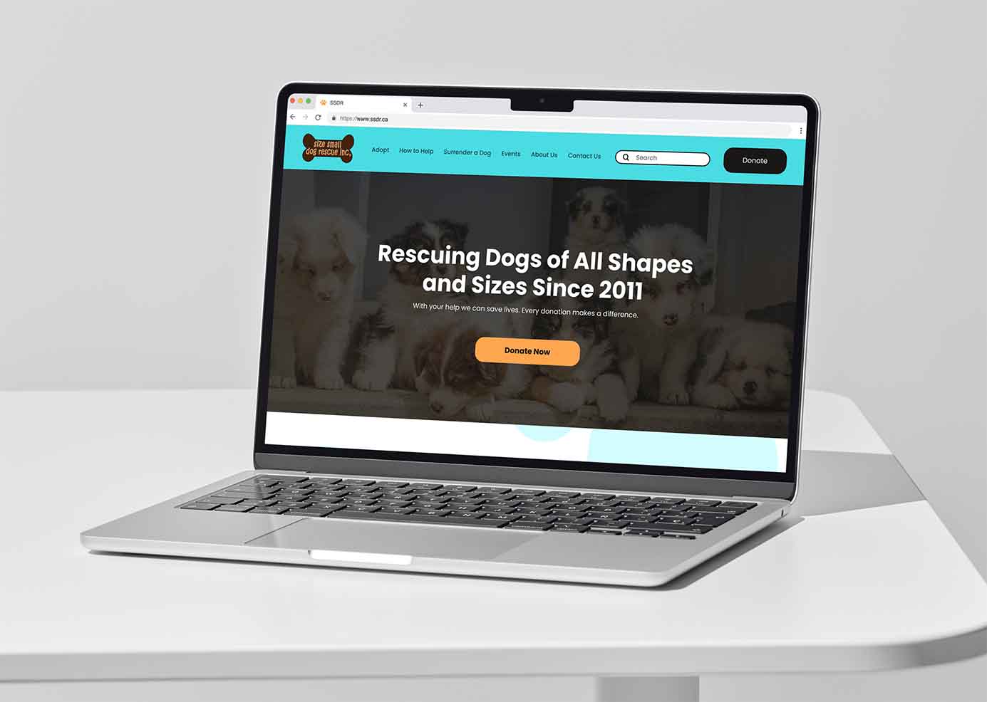 SSDR Website redesign mockup