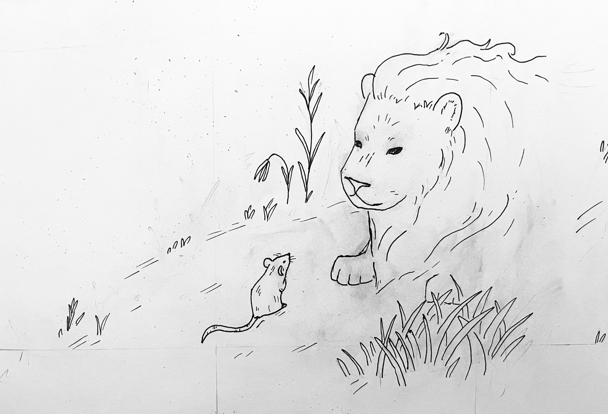 Rough illustration of lion and mouse